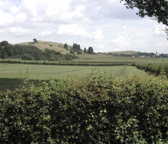 Uitzicht op kasteel Hartelstein bij Schwirzheim, © Naturparkzentrum Prümer Land Uitzicht op kasteel Hartelstein bij Schwirzheim, © Naturparkzentrum Prümer Land