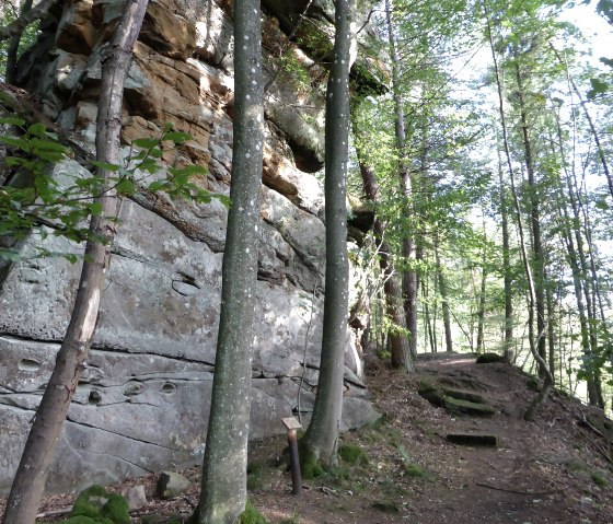 Un chemin forestier longe une haute paroi rocheuse. Des arbres entourent le sentier, qui est inondé par la lumière du soleil., © Elke Wagner Un chemin forestier longe une haute paroi rocheuse. Des arbres entourent le sentier, qui est inondé par la lumière du soleil., © Elke Wagner