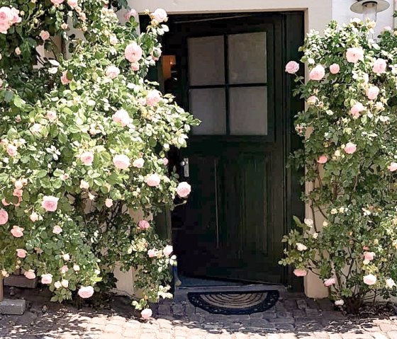 IMG_20190606_195214 IMG_20190606_195214