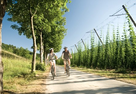 Radfahrer auf dem Prüm-Radweg, © Dominik Ketz Fotografie / Rheinland-Pfalz Tourismus GmbH Radfahrer auf dem Prüm-Radweg, © Dominik Ketz Fotografie / Rheinland-Pfalz Tourismus GmbH