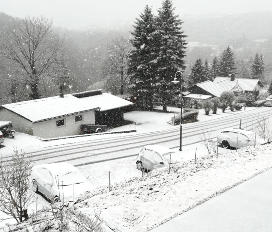 2021-12-15 22_12_16- Winter 27.02.2020 -Window 2021-12-15 22_12_16- Winter 27.02.2020 -Window