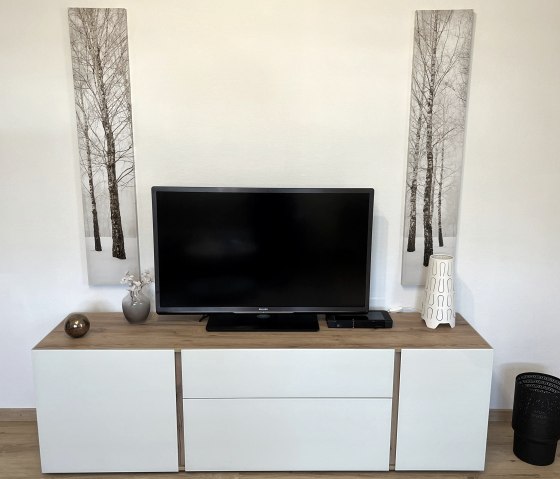 TV im Wohnbereich TV im Wohnbereich