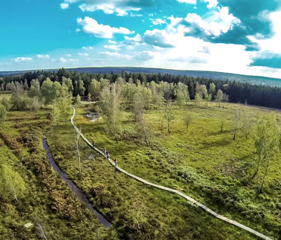 Wandern im Moor Wandern im Moor