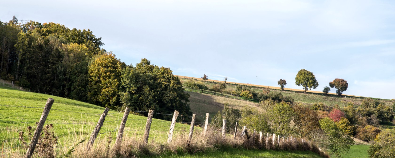 Bitburger LandGang Oberweis(C)TI Bitburger Land_MM (28), © TI Bitburger Land Bitburger LandGang Oberweis(C)TI Bitburger Land_MM (28), © TI Bitburger Land