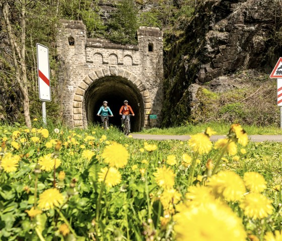 Enz-Radweg, ancien tunnel ferroviaire près de Neuerburg, © Eifel Tourismus GmbH, Dominik Ketz