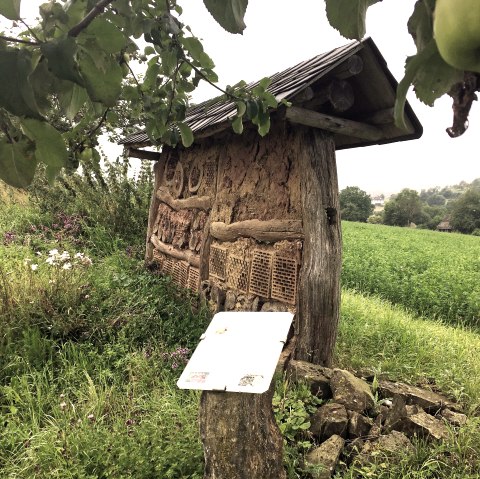 Een insectenhotel van hout en klei staat aan de rand van een groen veld. Een informatiebord geeft informatie over het hotel. Bloeiende planten op de voorgrond., &copy; TI Bitburger Land M.Mayer