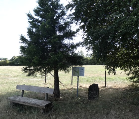 Eine Holzbank steht neben einem Baum und einem Informationsschild auf einem Wanderweg. Im Hintergrund ist eine Wiese zu sehen., © TI Bitburger Land