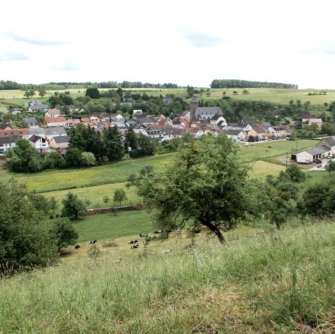 Blick auf Gransdorf: Im Vordergrund grüne Wiesen und Bäume, im Hintergrund das Dorf mit Häusern und einer Kirche, umgeben von Feldern., © Doris Pauels