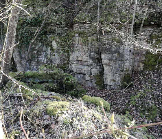 Former quarry near Gondorf, © Tourist-Information Bitburger Land_Melanie Salzburger