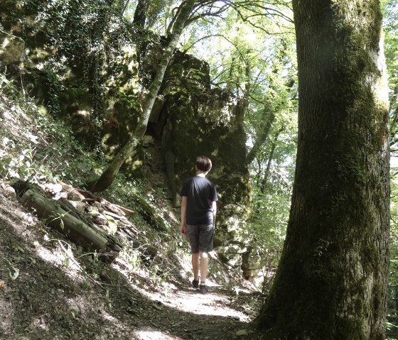 Une personne se promène sur un chemin forestier ombragé le long d'une paroi rocheuse couverte de mousse. La lumière du soleil traverse les arbres., © TI Bitburger Land
