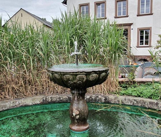 Dorpsfontein in Oberkail met groen water, omgeven door hoog gras. Op de achtergrond is een gebouw te zien., © TI Bitburger Land - Steffi Wagner