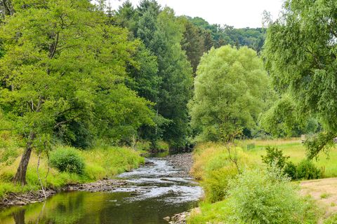 Ein kleiner Fluss fließt durch eine grüne, bewaldete Landschaft.