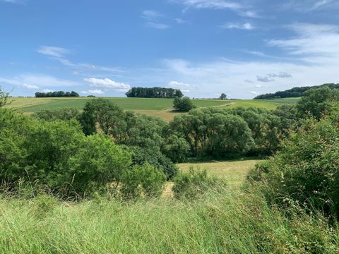 Landschaft mit grünen Feldern und Bäumen unter blauem Himmel.