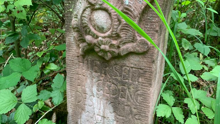 Stein mit Gravur im Wald, umgeben von Pflanzen.