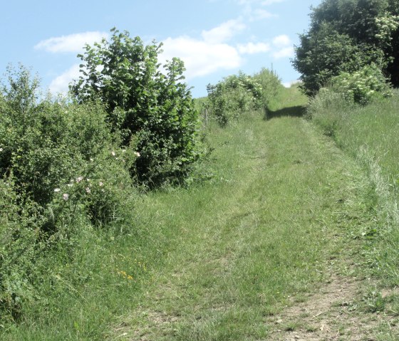 Nattenheimer Hexenweg 1, &copy; Geschichtlicher Arbeitskreis Nattenheim