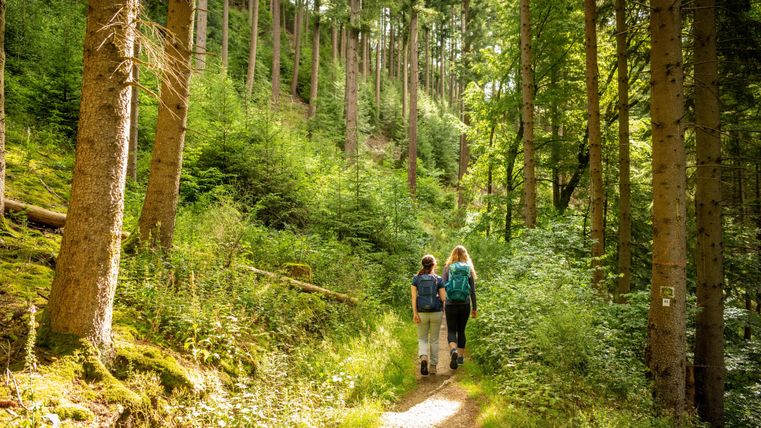Deux personnes se promènent sur un chemin étroit à travers une forêt verte. Les arbres sont hauts et le soleil brille à travers le feuillage.