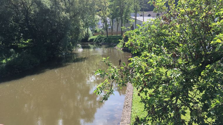 Fluss Prüm in Oberweis mit Bäumen und Gebäuden im Hintergrund.