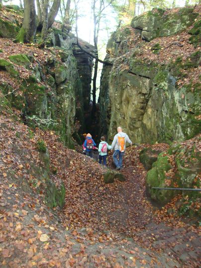 Eine enge Schlucht mit hohen Felsen und herbstlichem Laub. Einige Wanderer erkunden den Weg durch die faszinierende Landschaft.