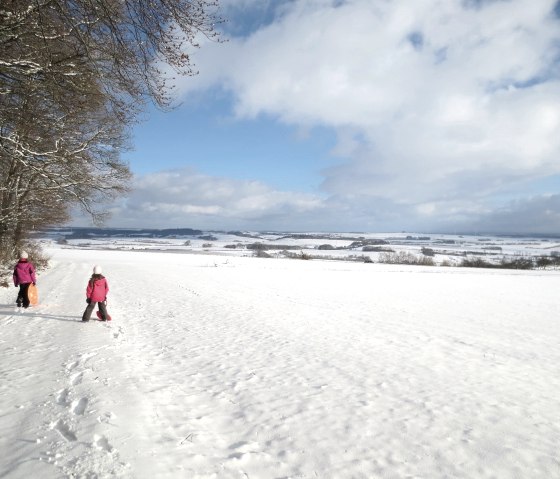 Four seasons walk Niederweiler, © Tourist-Information Bitburger Land_Doris Welter