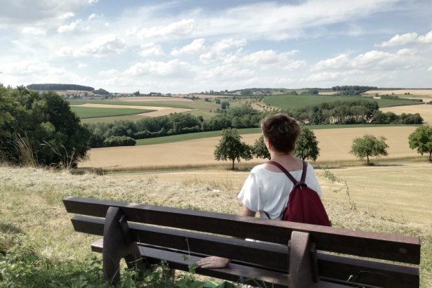 Eine Person mit rotem Rucksack sitzt auf einer Bank und blickt auf eine weite Landschaft mit Feldern und Bäumen unter einem blauen Himmel., © TI Bitburger Land