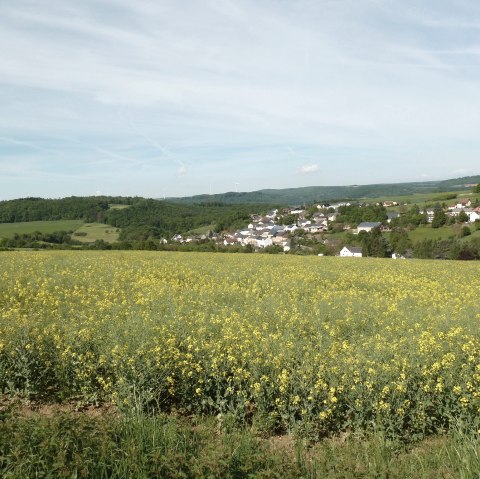 Fernsicht
