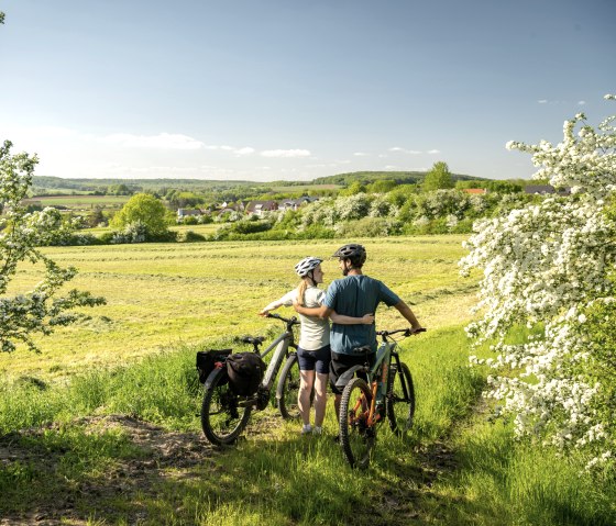 Uitzicht op de zuidelijke Eifel met boomgaarden, Nims fietspad, © Eifel Tourismus GmbH, Dominik Ketz