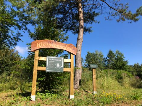 Hinweistafel Waldlehrpfad in Oberkail mit Bäumen im Hintergrund.