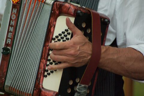 Eine Person spielt ein Akkordeon mit einer kräftigen Hand. Das Instrument hat eine markante rot-schwarze Färbung.