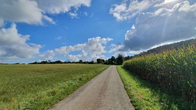 Ländliche Straße zwischen Feldern unter blauem Himmel mit Wolken.
