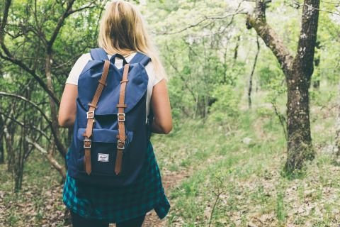Eine Person mit einem Rucksack wandert durch einen grünen Wald. Umgebende Bäume und Sträucher schaffen eine ruhige Naturatmosphäre.