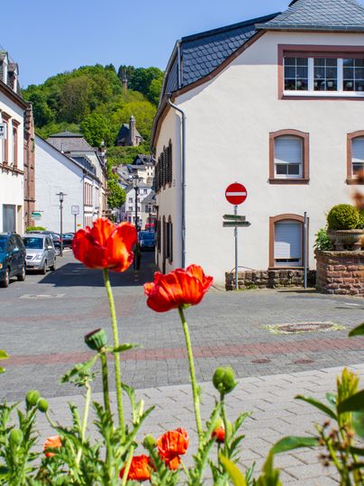 Straßenszene in Kyllburg mit roten Blumen im Vordergrund und Gebäuden im Hintergrund.