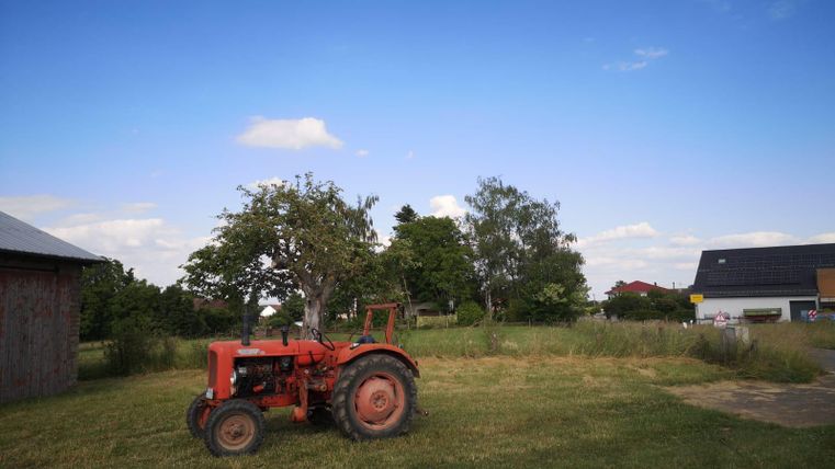 Ein roter Traktor steht auf einer Wiese mit vereinzelten Bäumen im Hintergrund. Der Himmel ist blau mit einigen Wolken.