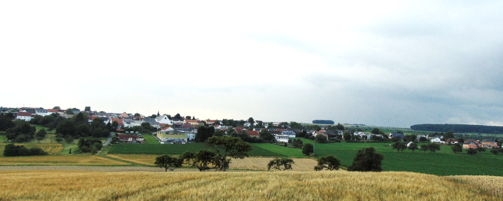 Weite Landschaft mit goldenen Getreidefeldern im Vordergrund und einem Dorf im Hintergrund unter einem bewölkten Himmel., © Conny Meier