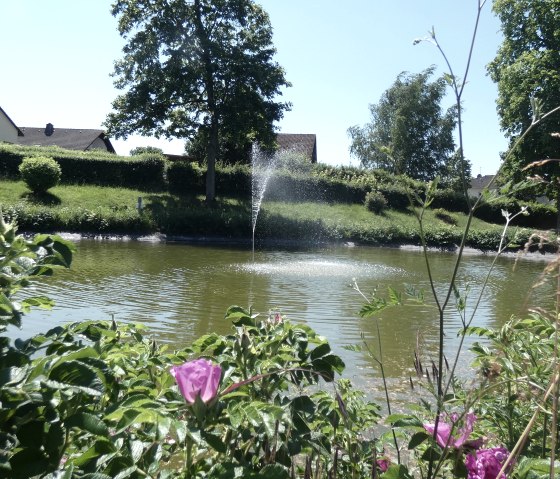 A pond with a fountain, surrounded by green bushes and trees, with houses in the background., © TI Bitburger Land