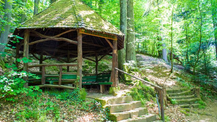 Eine hölzerne Schutzhütte im Wald mit Moos bedecktem Dach und Treppenstufen.
