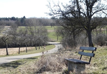 Un banc se trouve au bord du chemin, avec vue sur un paysage rural. Un sentier sinueux traverse des champs et des arbres., © Eifelverein Ortsgruppe Speicher