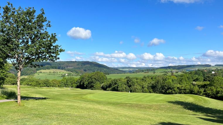 Eine weitläufige grüne Landschaft mit sanften Hügeln und einem klaren blauen Himmel. Einige Bäume bilden einen schönen Kontrast zur Umgebung.