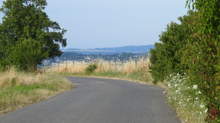 Ländliche Straße mit Bäumen und Blick auf eine Stadt in der Ferne.