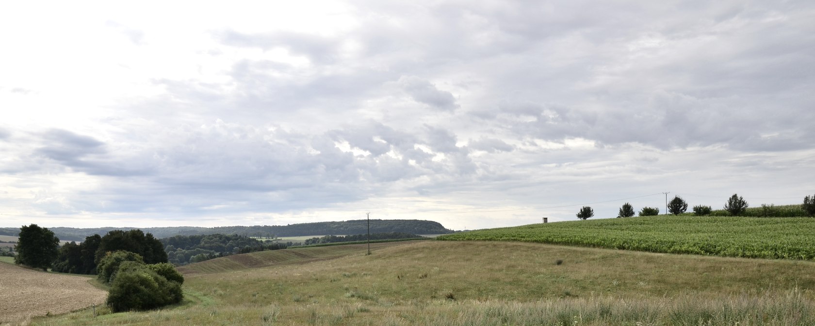 Weids weidelandschap in het natuurpark Zuid-Eifel, met glooiende heuvels en velden onder een bewolkte hemel., © TI Bitburger Land