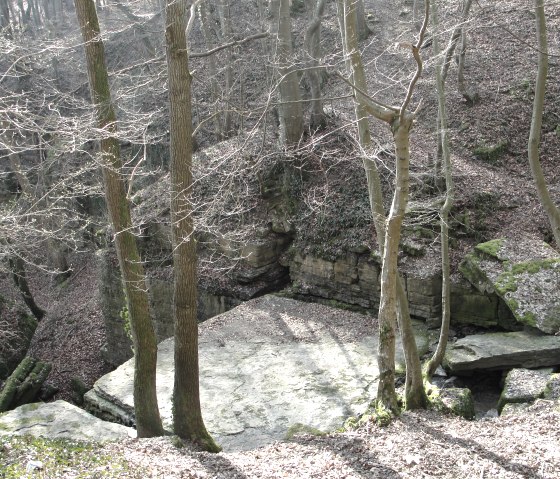 The Tanzlay, a huge sandstone slab in the romantic Diefenbach valley, &copy; NaturAktivErleben