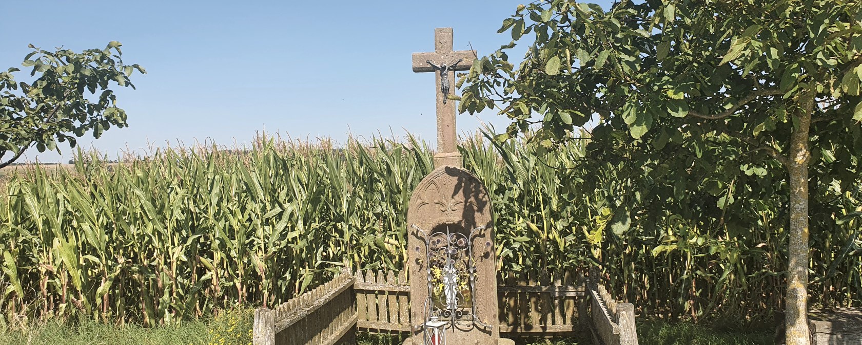 A stone cross with a figure of Jesus stands in front of a cornfield, surrounded by trees and a wooden fence. The sky is clear and blue., © TI Bitburger Land