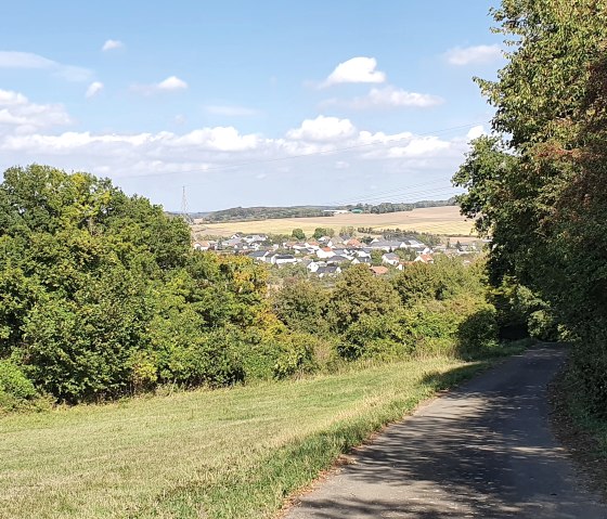 Un sentier de randonnée traverse des arbres et des prairies verdoyants, avec une vue sur le village de Meckel en arrière-plan, sous un ciel bleu., © TI Bitburger Land - Steffi Wagner
