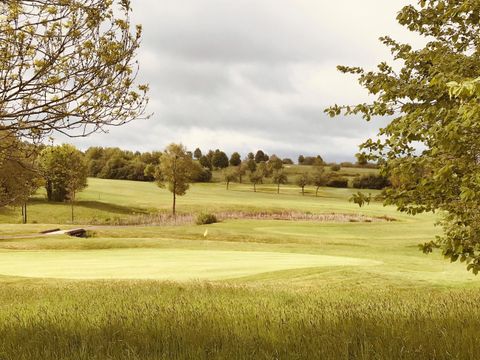 Eine malerische Golfplatzlandschaft mit sanften Hügeln und vereinzelt stehenden Bäumen. Der Himmel ist bewölkt und die Wiesen sind grün.