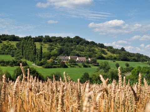 Landschaft mit Getreidefeld im Vordergrund und Schutzhäusern der Villa Otrang im Hintergrund.