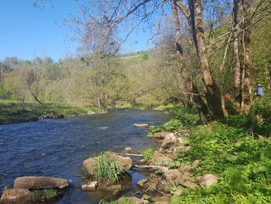Flusslandschaft mit Bäumen und Radfahrern am Ufer.