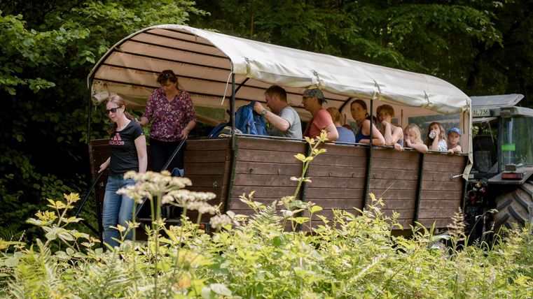 Eine Gruppe von Menschen sitzt in einem offenen Wagen, der von einem Traktor gezogen wird. Sie fahren durch eine grüne, bewaldete Gegend.