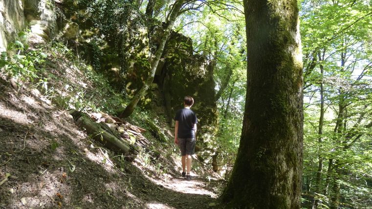 Person wandert auf einem Waldweg entlang einer Felswand.