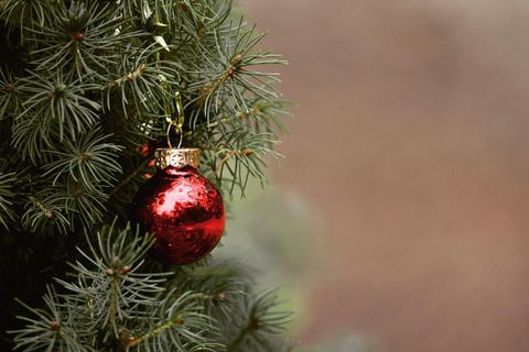 A red Christmas ornament hangs on a green pine branch. The atmosphere is festive and Christmas-like.