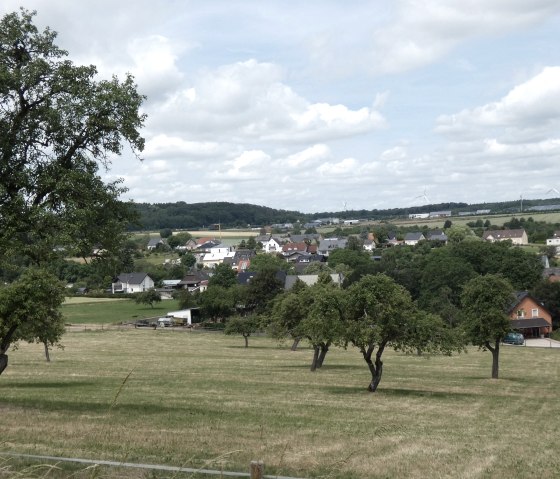 Vue d'un paysage rural avec des arbres et des prairies au premier plan, un village à l'arrière-plan et des éoliennes à l'horizon., © TI Bitburger Land