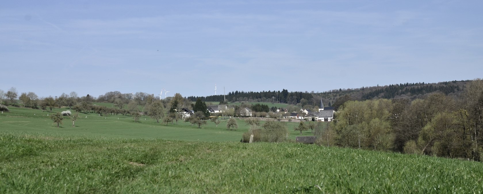 Grüne Wiesen und Bäume erstrecken sich bis zu einem Dorf am Horizont, unter einem klaren blauen Himmel., © TI Bitburger Land
